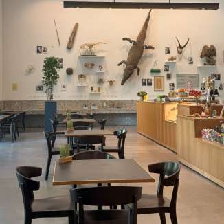 Im Foyer des Naturmuseums stehen Stühle und Tische. Im Hintergrund befindet sich eine Wand mit Objekten, darunter Geweihe und ein ausgestopftes Krokodil.