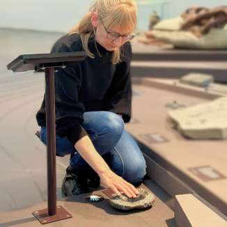 Eine blonde Frau fässt den über 350 Millionen alten Trilobit an.