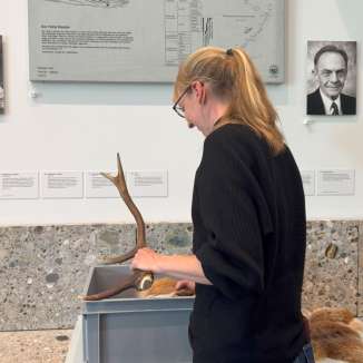 Eine blonde Frau wühlt in einer grauen Kiste und befühlt Geweih und Felle.
